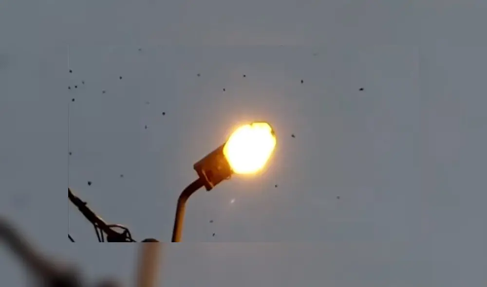 Gerente de la comuna de SJL repartía volantes a favor de la candidatura de esposa del alcalde