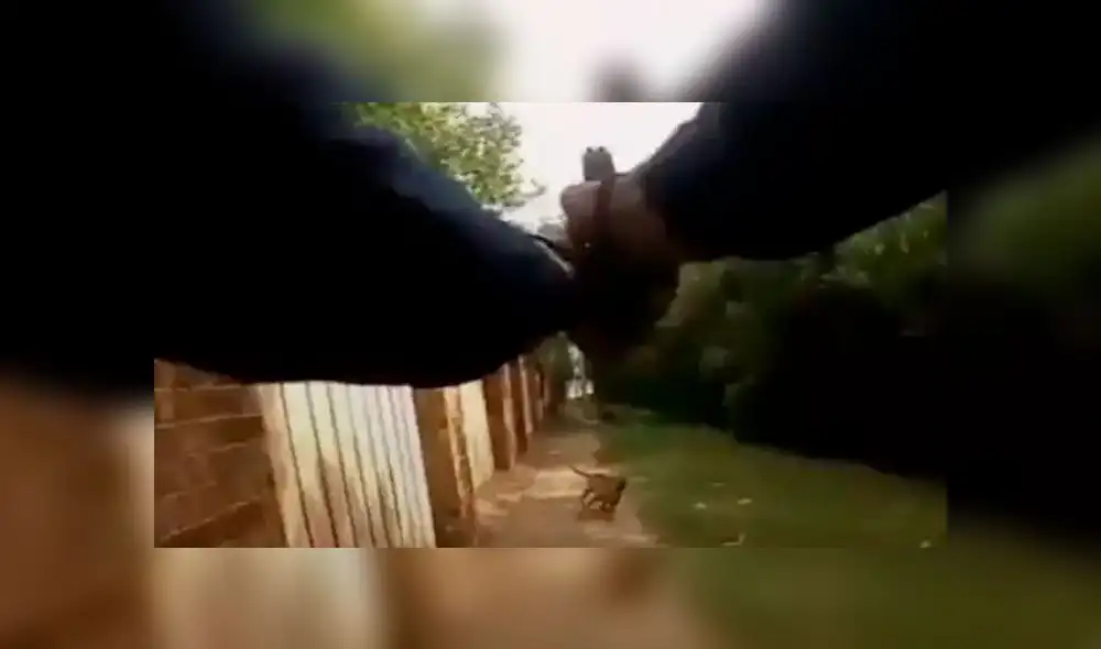 El policía disparó tres veces contra el perro. Terminó matando a su dueña e hiriendo al animal. Imagen: Departamente de Policía del Condado de Airlington. El policía disparó tres veces contra el perro. Terminó matando a su dueña e hiriendo al animal. Imagen: Departamente de Policía del Condado de Airlington.