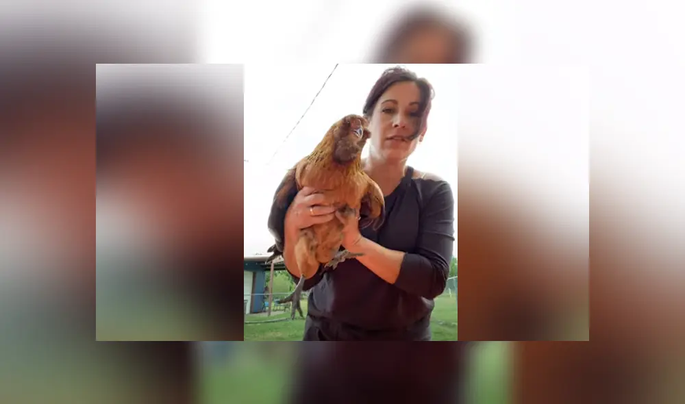 Desliza hacia la izquierda para ver las imágenes del viral de Facebook. Foto: Captura. Desliza hacia la izquierda para ver las imágenes del viral de Facebook. Foto: Captura.