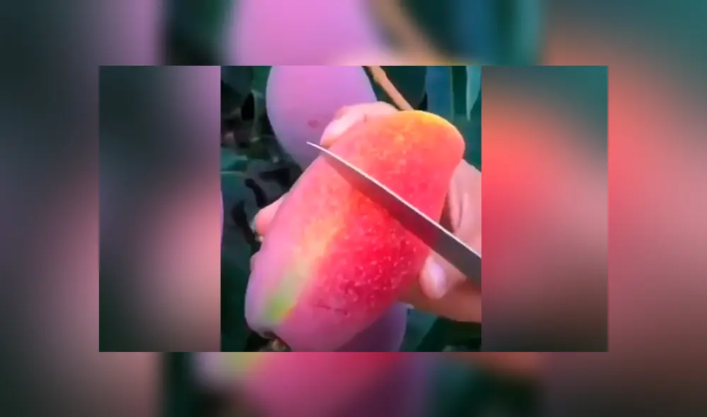 Desliza para ver los momentos más impactantes del video que se hizo viral en YouTube. Desliza para ver los momentos más impactantes del video que se hizo viral en YouTube.