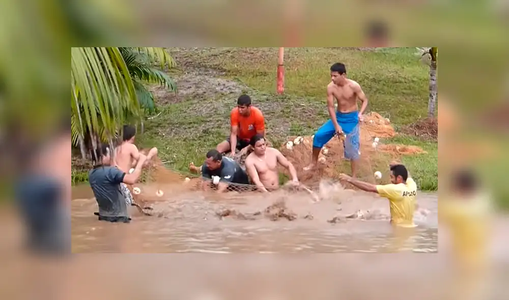 YouTube viral: Entran a pescar y quedan en shock al ver extrañas criaturas en su red [VIDEO]