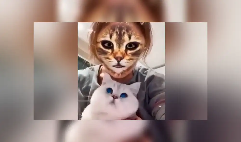 Desliza hacia la izquierda para ver la reacción que tuvo el felino al ver el filtro del gato que se ha vuelto viral en Facebook. Desliza hacia la izquierda para ver la reacción que tuvo el felino al ver el filtro del gato que se ha vuelto viral en Facebook.