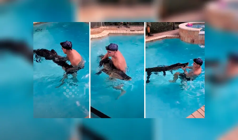 Un video viral muestra el preciso instante en que un hombre nada con una gigantesca criatura, un cocodrilo de 8 pies.