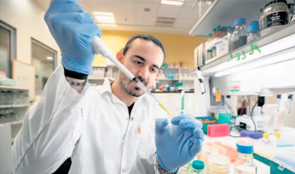 Investigaciones. En Israel, como en otros países del mundo, se aceleran los estudios contra el mortal nuevo coronavirus. (Foto: AFP)