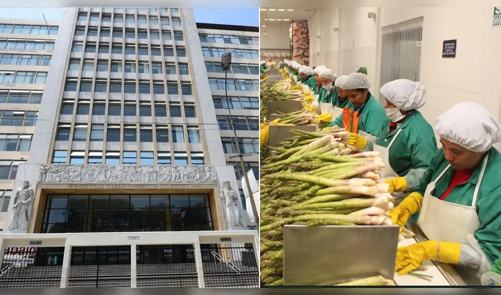 mtpe ley agraria mtpe ley agraria