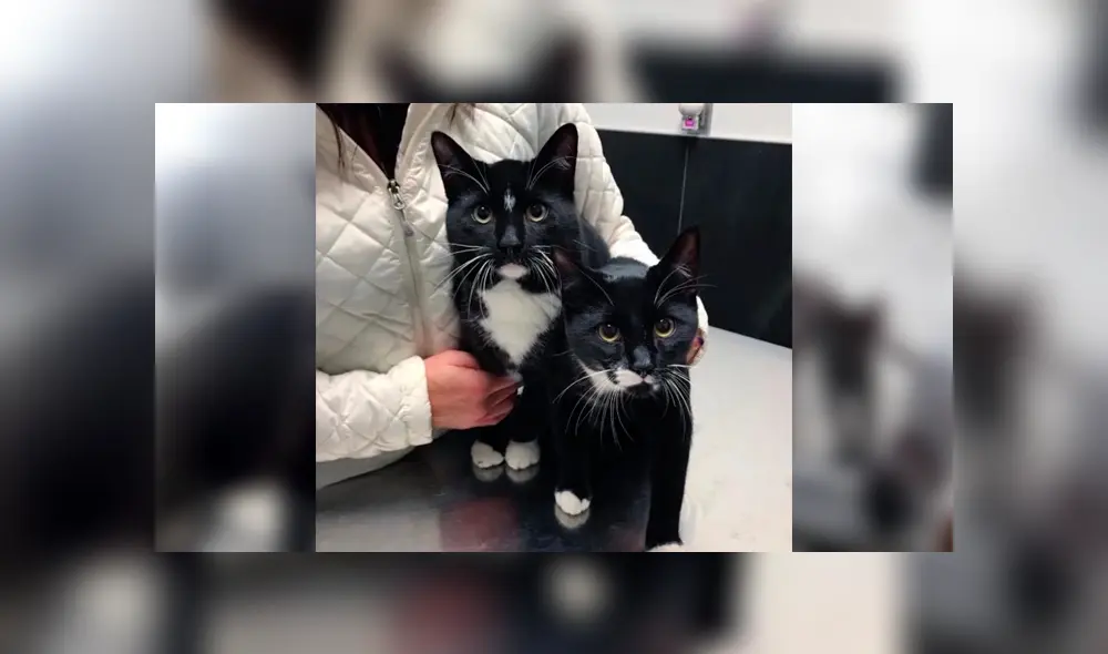 Desliza para ver los detalles de esta historia que se viralizó en Facebook. Foto: Captura. Desliza para ver los detalles de esta historia que se viralizó en Facebook. Foto: Captura.