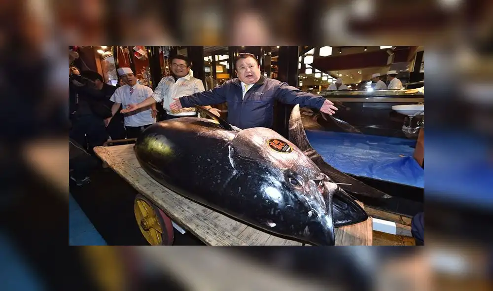 El atún rojo más caro de la historia: magnate del ‘sushi’ paga más de 3 millones de dólares