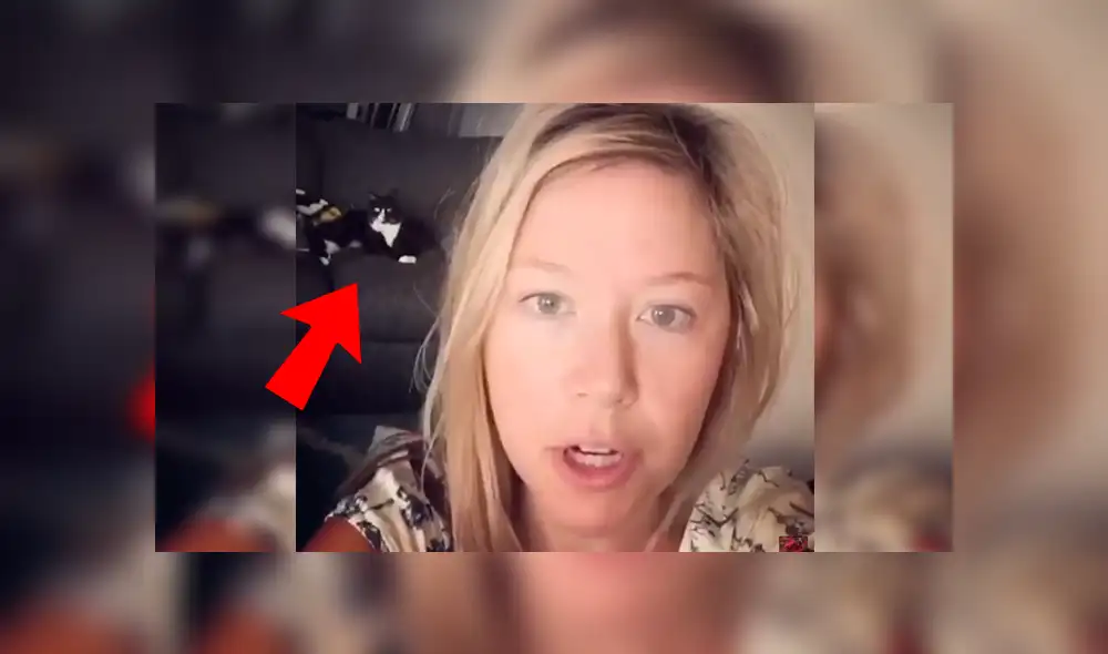 Facebook viral: Gato tuvo una inesperada reacción al escuchar cantar desafinado a su dueño [VIDEO] 