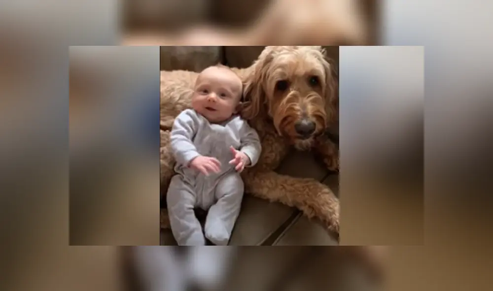 Desliza hacia la izquierda para ver las imágenes del viral de YouTube. Foto: Captura.