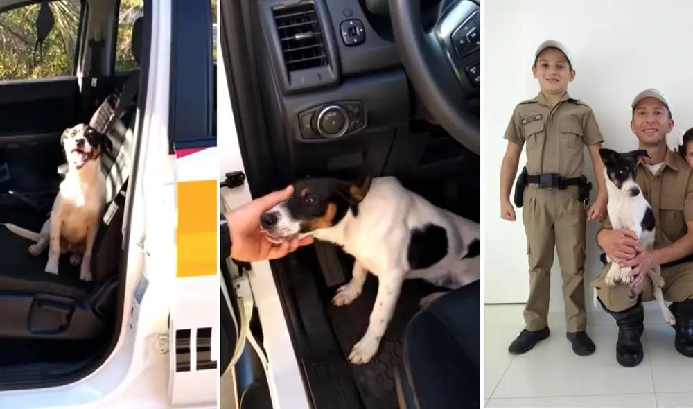 Desliza para ver el desenlace de la historia de Facebook. Foto: Polícia Militar Rodoviária de Santa Catarina