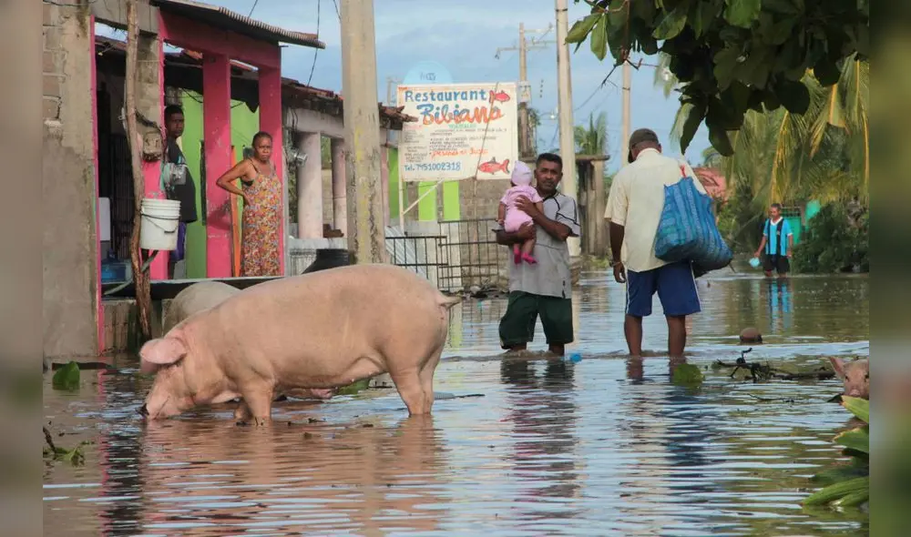 México: Un desaparecido y 200 casas dañadas por Max 