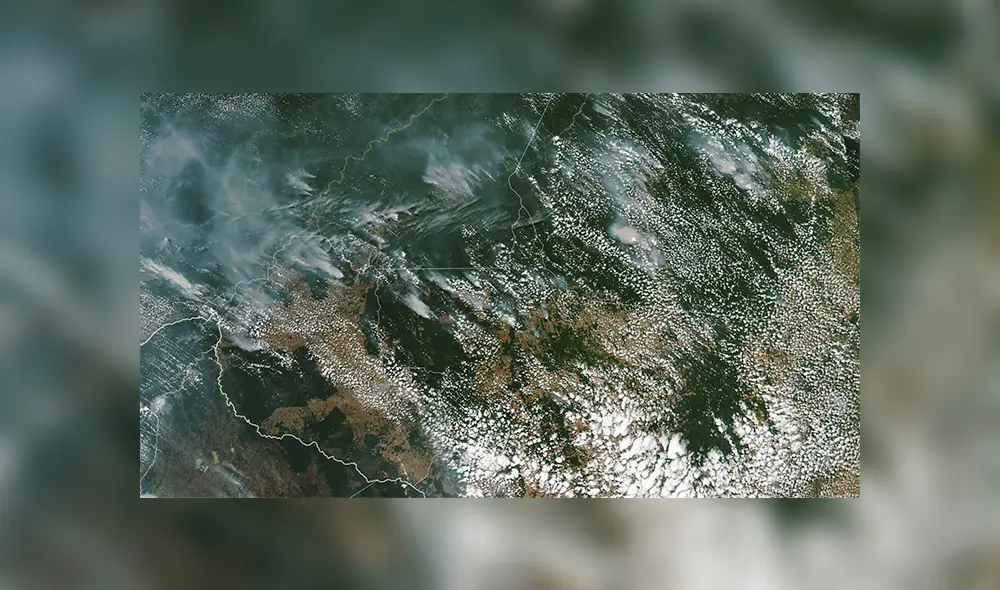 Incendio en la Amazonía: el fuego sigue destruyendo la selva de Brasil [EN VIVO]