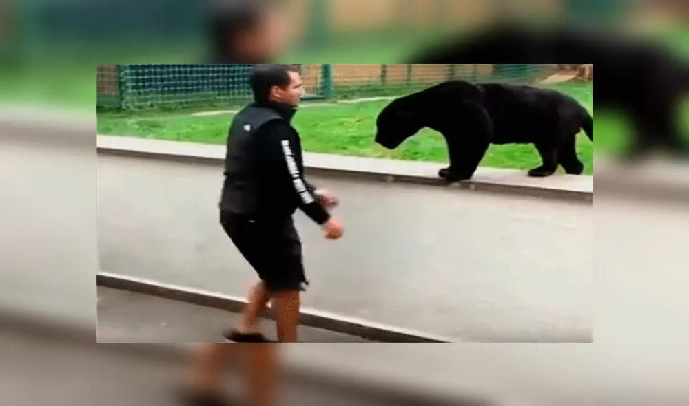 YouTube viral: implacable pantera aparece sigilosamente y sorprende por la espalda a su cuidador [VIDEO]