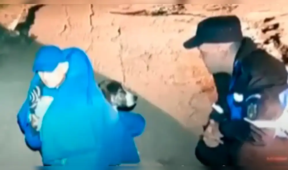 Facebook: perrito callejero salva la vida de ciclista, video enternece las redes 