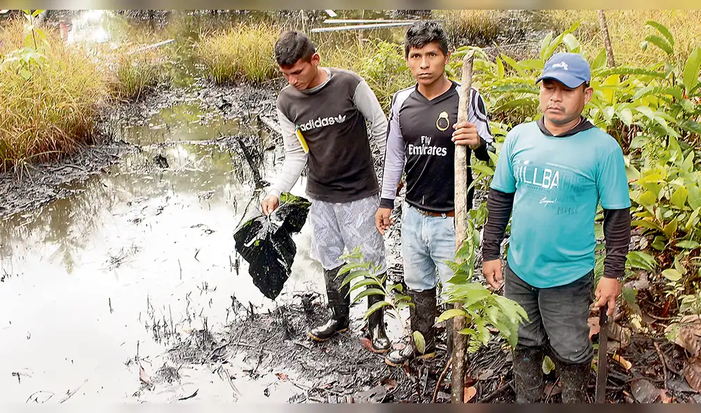 Falsa remediación tras derrames en la cuenca del Chambira