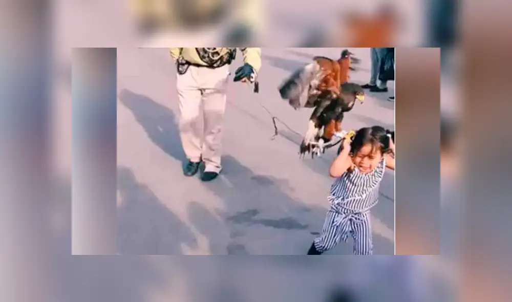 YouTube viral: enorme águila agarra a niña de los pelos y su madre se burla [VIDEO]