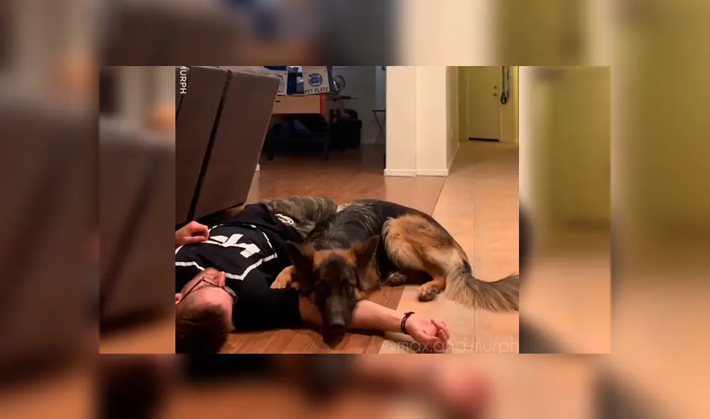 Hombre se desvaneció delante de sus mascotas para ver cómo reaccionaban en caso necesitara ayuda. El curioso desenlace se hizo viral en Facebook Hombre se desvaneció delante de sus mascotas para ver cómo reaccionaban en caso necesitara ayuda. El curioso desenlace se hizo viral en Facebook