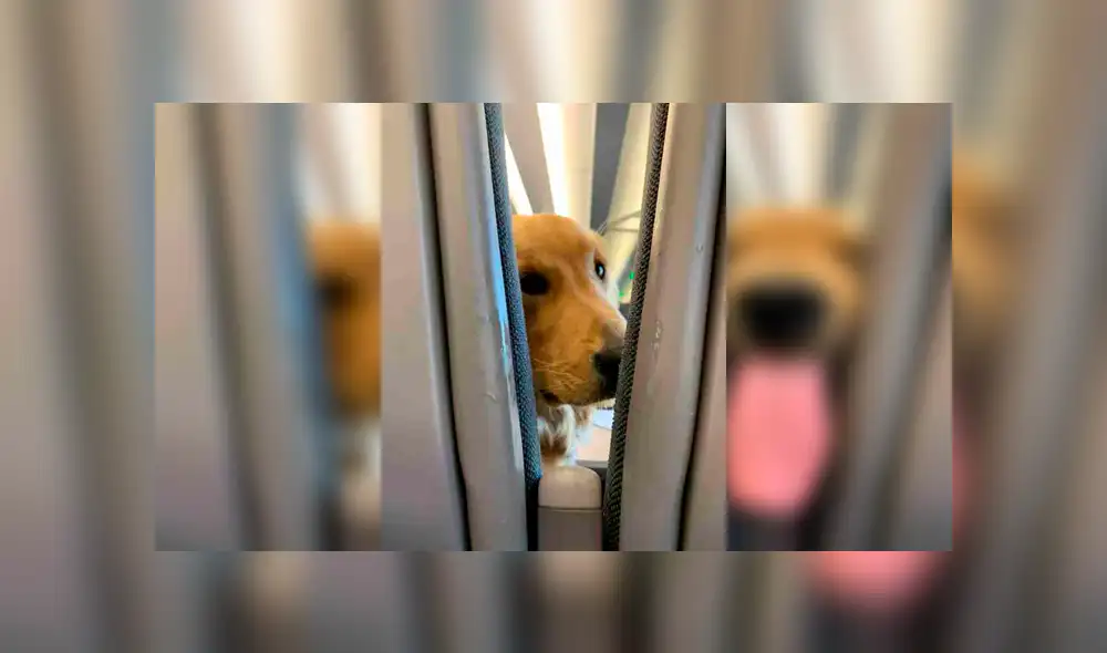 Desliza para ver los detalles de esta historia viral de Facebook. Foto: Captura. Desliza para ver los detalles de esta historia viral de Facebook. Foto: Captura.