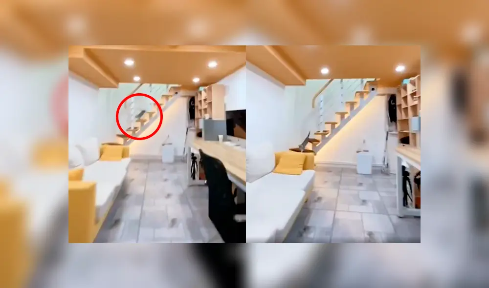 Desliza a la izquierda para ver al felino que ha cautivado a los usuarios de Facebook. Foto: Captura.