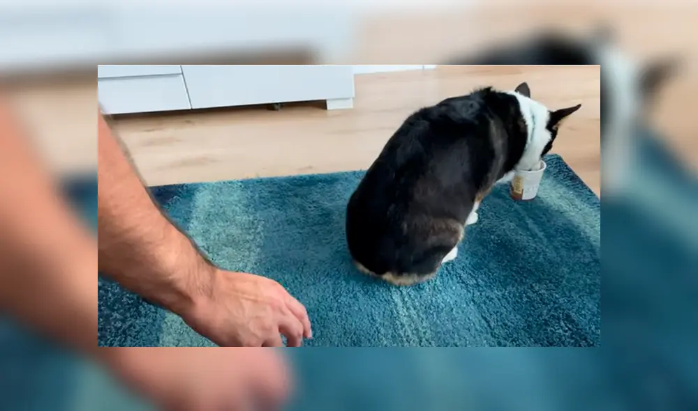 Desliza hacia la izquierda para ver más del video viral. Fotocaptura: YouTube