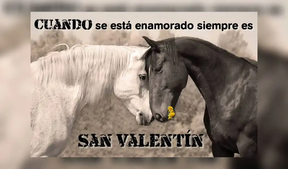 San Valentín: 25 imágenes para enviar a tu pareja