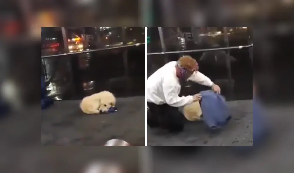 Desliza las imágenes para ver más detalles de este noble gesto que conmovió las redes sociales. (Foto: captura / Twitter) Desliza las imágenes para ver más detalles de este noble gesto que conmovió las redes sociales. (Foto: captura / Twitter)
