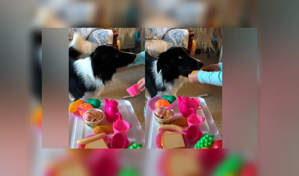 Desliza las imágenes para ver la curiosa escena que registró una madre entre su hija y su perro. Foto: ViralHog/YT Desliza las imágenes para ver la curiosa escena que registró una madre entre su hija y su perro. Foto: ViralHog/YT