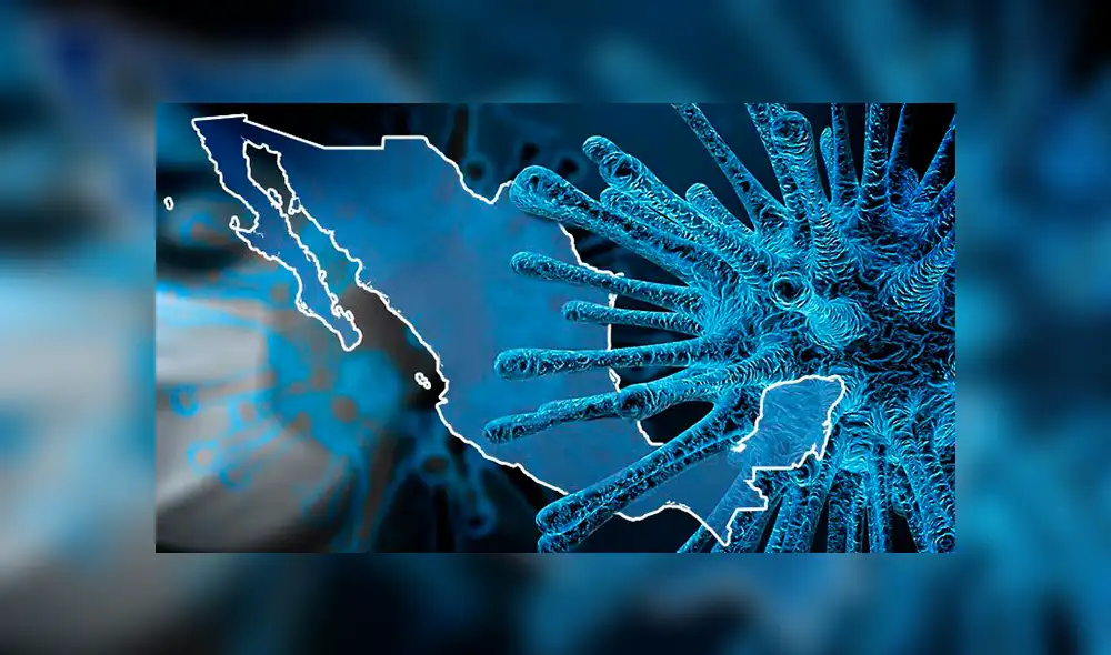 Hasta ahora, son 15 los casos confirmados de COVID-19 en México. Foto: UnoTV. Hasta ahora, son 15 los casos confirmados de COVID-19 en México. Foto: UnoTV.