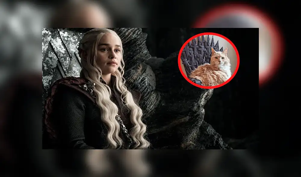 Facebook: Fan de Game of Thrones hace un Trono de Hierro de cartón para su gato y luce así [VIDEO]