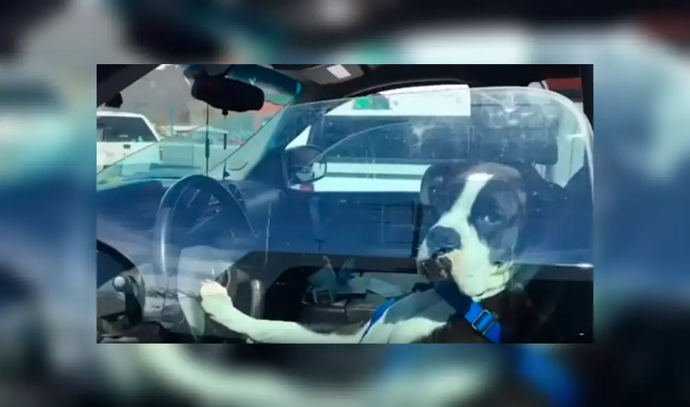 Youtube viral: busca a chofer escandaloso para enfrentarlo y queda desconcertado con su identidad [VIDEO]