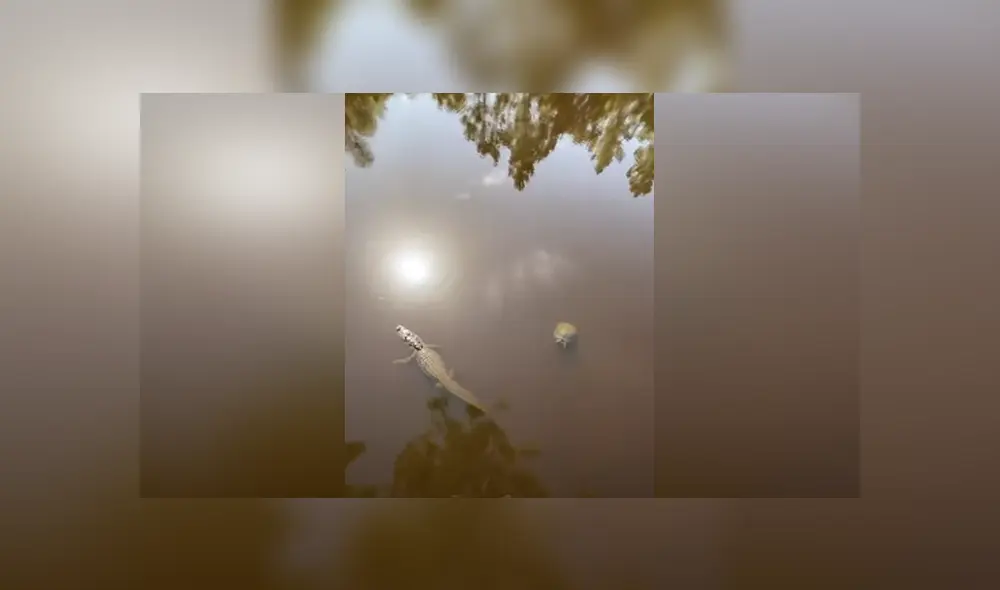 Desliza hacia la izquierda para ver las imágenes del viral de YouTube. Foto: Captura. Desliza hacia la izquierda para ver las imágenes del viral de YouTube. Foto: Captura.