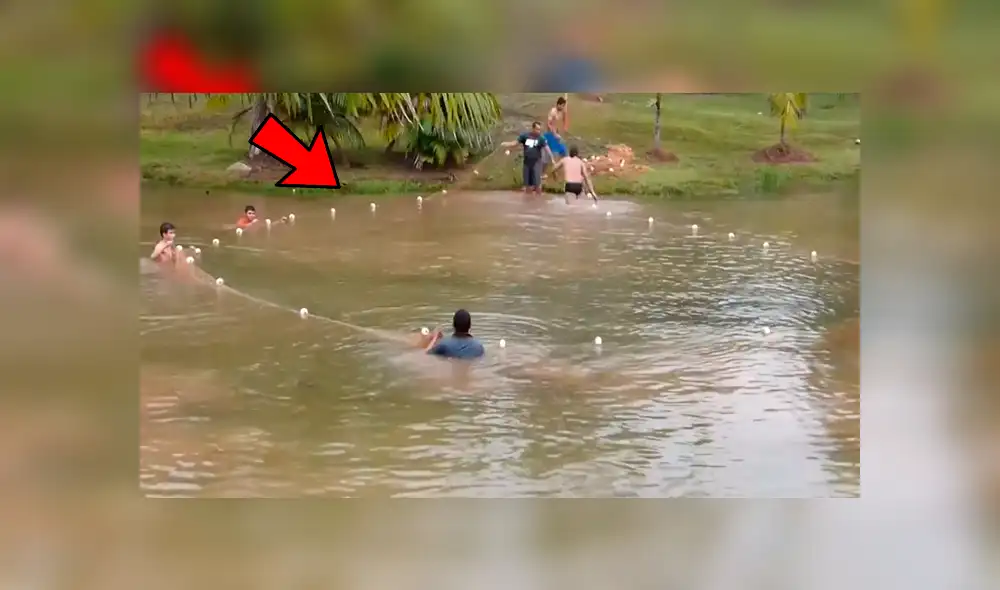 YouTube viral: Entran a pescar y quedan en shock al ver extrañas criaturas en su red [VIDEO]