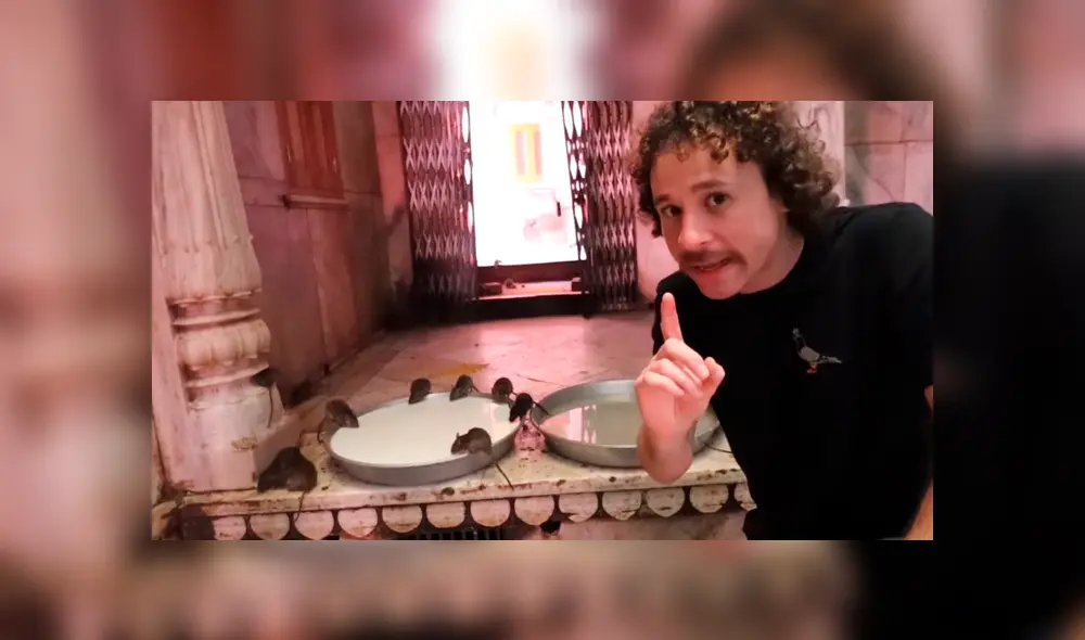 YouTube: ¿Conoces el 'Templo de las ratas' de la India? Aquí la sorprendente historia de este santuario