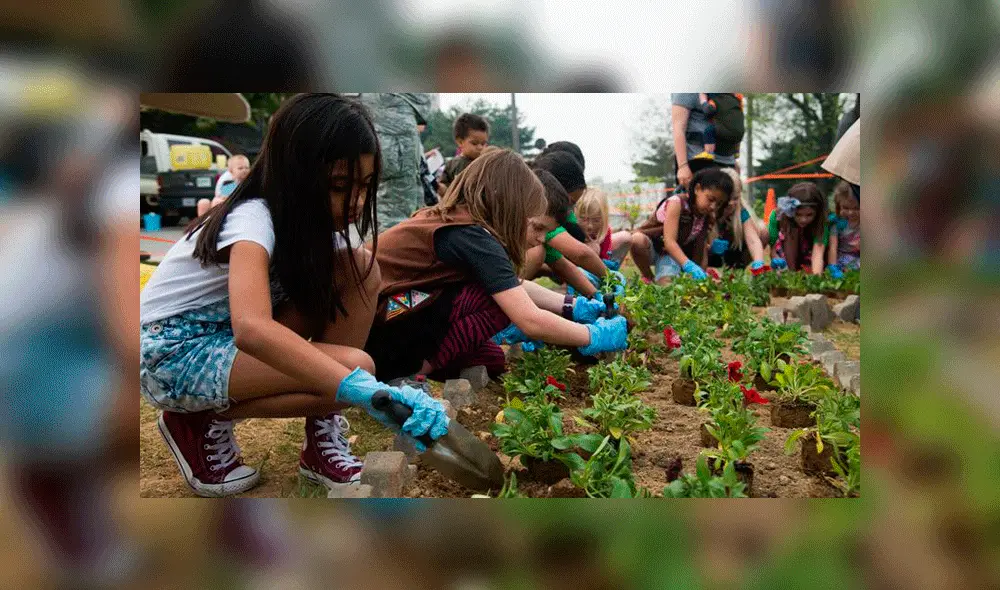 Más del 70% de niños están interesados en el cuidado del medio ambiente, según estudio. Foto: Difusión