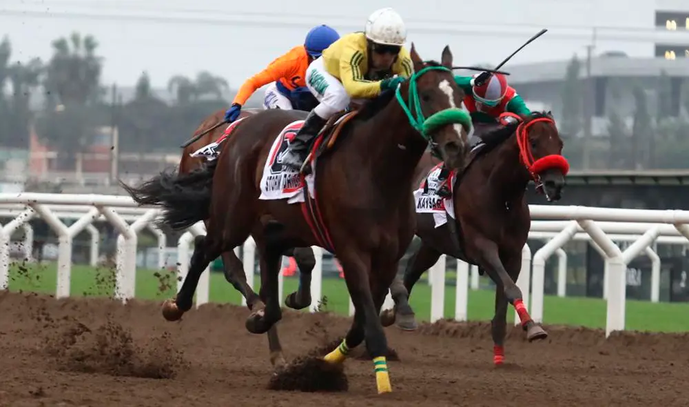 Martín Vizcarra recibió baño de popularidad en Hipódromo de Monterrico [GALERÍA]