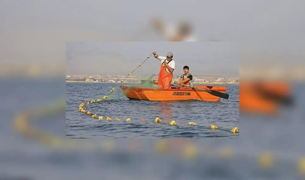 Trabajadores pesqueros se oponen a nuevos derechos de pesca propuesto por Produce