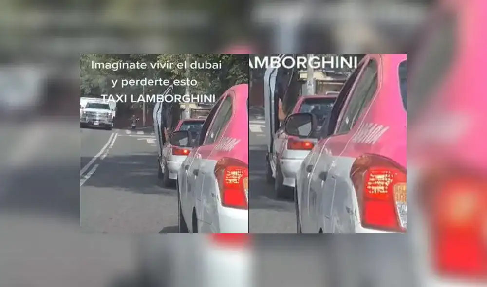 El divertido video acumula millones de reproducciones en redes sociales. Foto: captura de TikTok