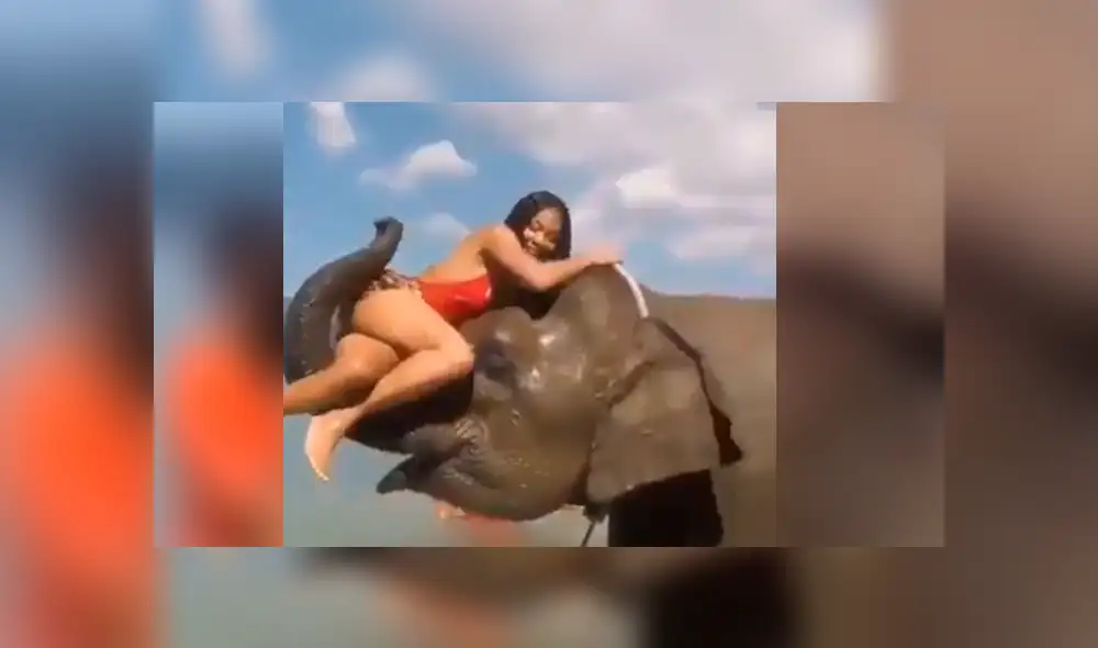 Facebook viral: Intenta tomarse foto sobre la trompa de un elefante y este la deja en ridículo [VIDEO]