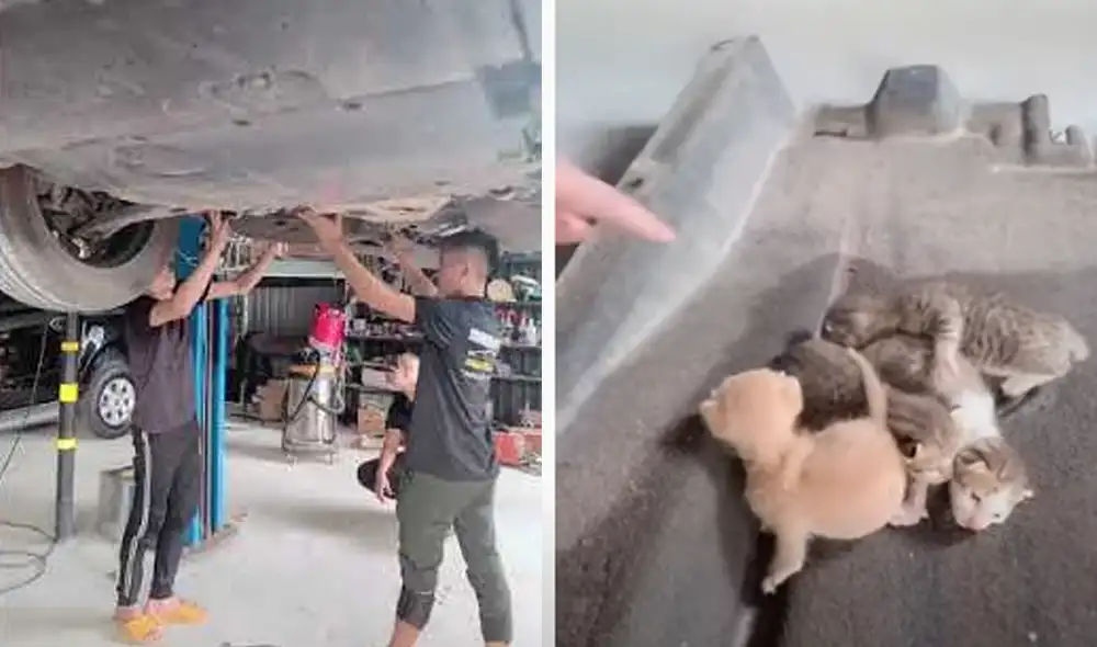 Desliza hacia la izquierda para ver las imágenes del video viral. Foto: captura de Facebook.