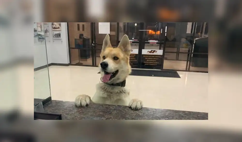 Desliza a la izquierda para conocer esta divertida historia que es viral en Facebook. Foto: Publicación original. Desliza a la izquierda para conocer esta divertida historia que es viral en Facebook. Foto: Publicación original.