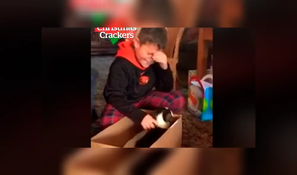 Desliza hacia la izquierda para ver la reacción que tuvo un niño al encontrar un perro dentro de una caja de regalo. El video es viral en Facebook. Desliza hacia la izquierda para ver la reacción que tuvo un niño al encontrar un perro dentro de una caja de regalo. El video es viral en Facebook.