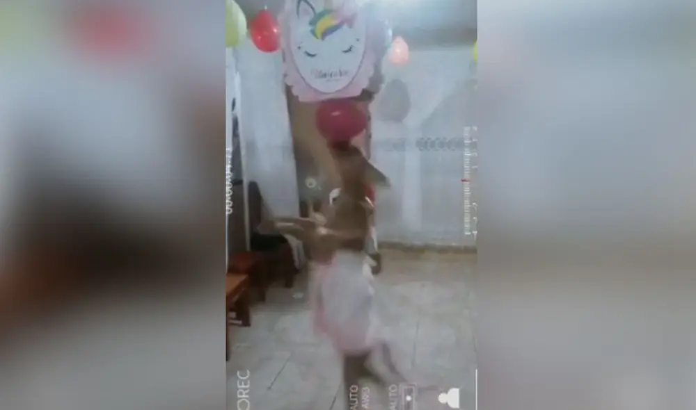 Desliza las imágenes para ver más sobre esta divertida celebración de cumpleaños que tuvo una perrita. (Foto: captura / TikTok)