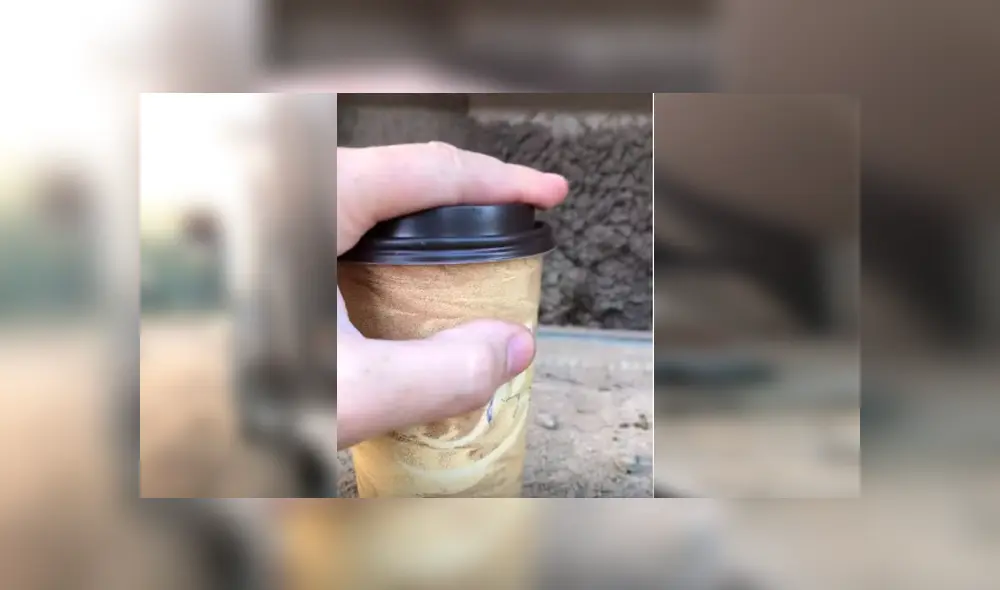 Video es viral en YouTube. El ave ha dejado a más de uno con la boca abierta, al resolver de forma rápida el popular truco que hizo un joven