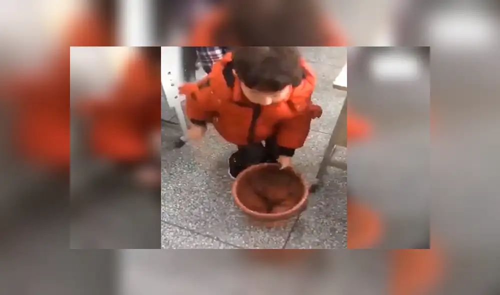 Facebook viral: niño enseña la forma correcta de colocar una bolsa de basura en los tachos [VIDEO]