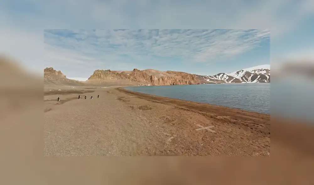 Google Maps viral: usuario capta una emocionante escena mientras 'recorría' la Antártida [FOTOS]