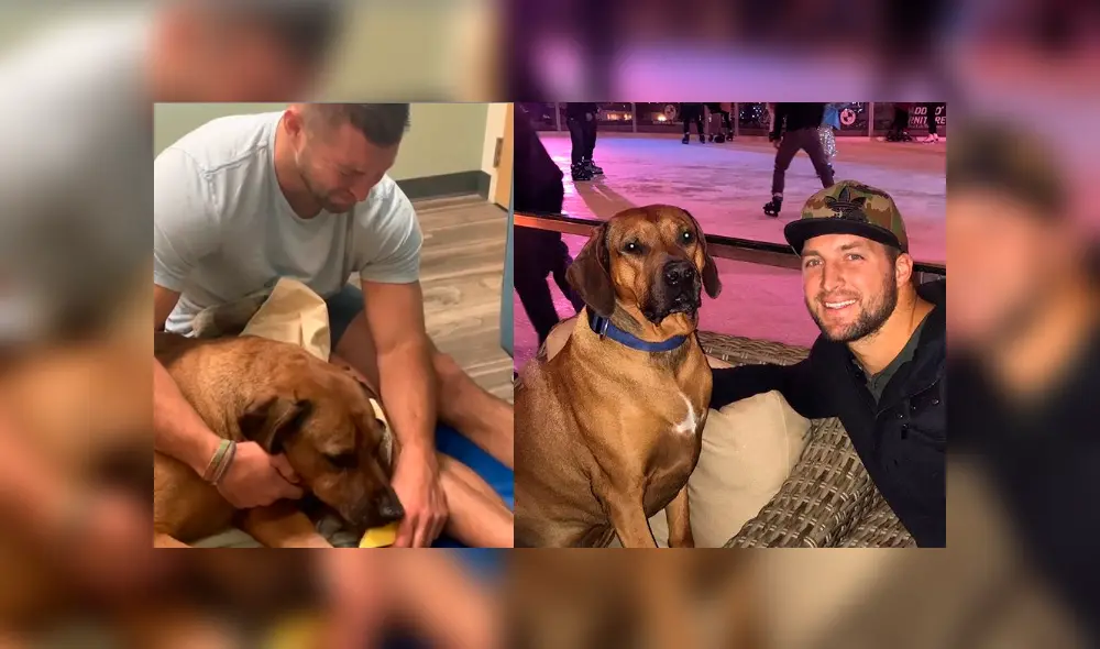 Facebook viral: famoso beisbolista se despide de su amado perro con emotiva publicación que entristece a miles Facebook viral: famoso beisbolista se despide de su amado perro con emotiva publicación que entristece a miles