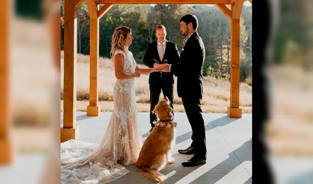 Gabby se robó el protagonismo de la boda de sus dueños. Foto: gabsthegolden / Facebook Gabby se robó el protagonismo de la boda de sus dueños. Foto: gabsthegolden / Facebook