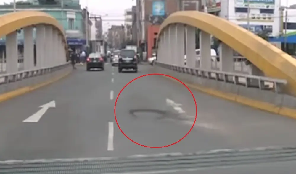 Foto: Captura Foto: Captura