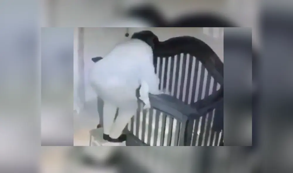 Un video que se ha viralizado en Facebook, grabado con cámara escondida, registra el blooper que protagonizó una niñera con un bebé en brazos.