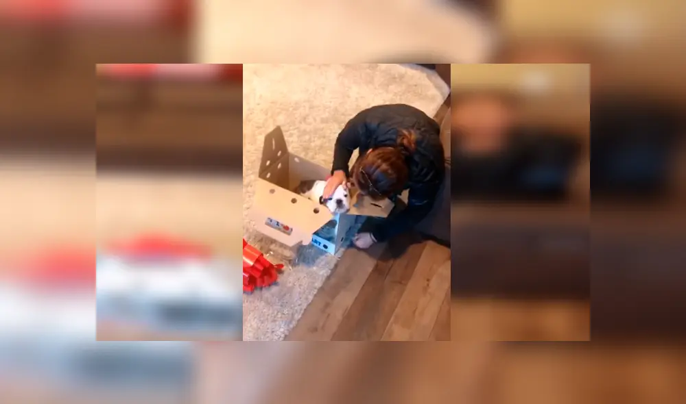 Desliza las imágenes hacia la izquierda para apreciar la emotiva sorpresa que prepararon unos jóvenes a su madre.